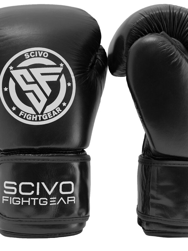 Full Stack Kickboxing Gloves (Leather) - 12 OZ